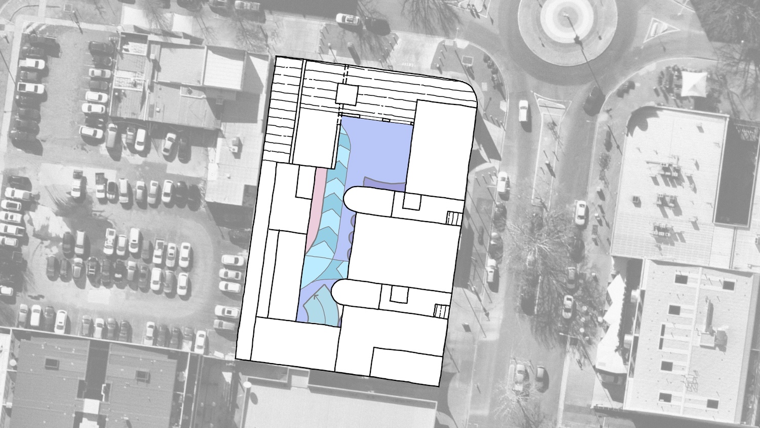 Braddon39