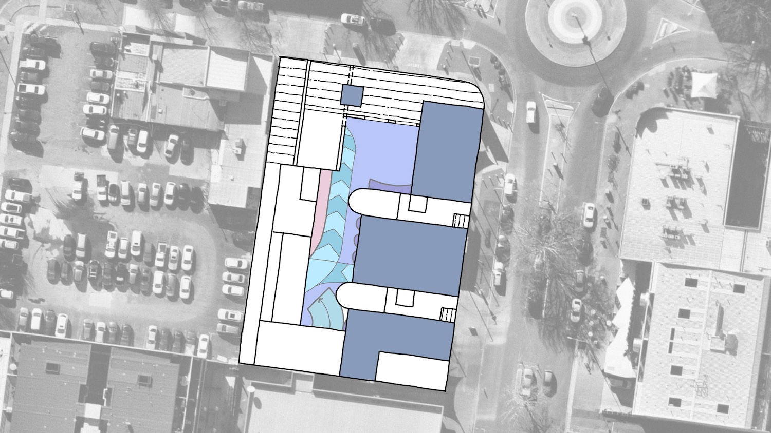 Braddon40