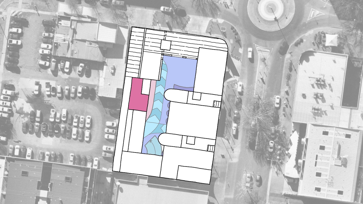 Braddon41