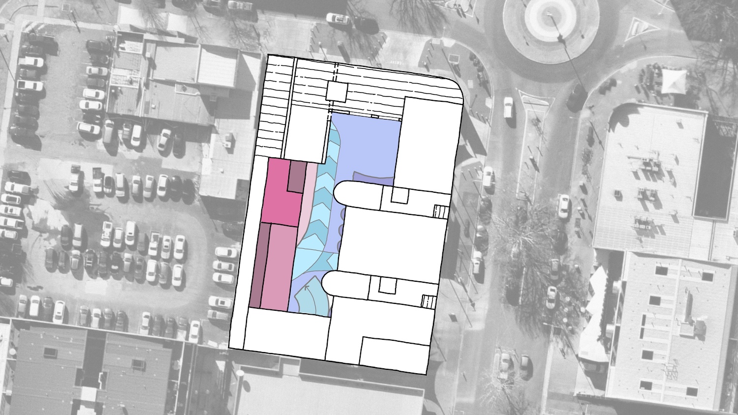 Braddon42