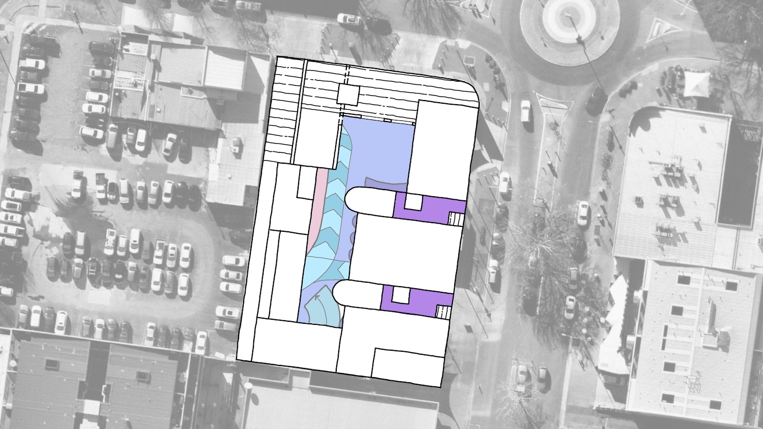 Braddon43