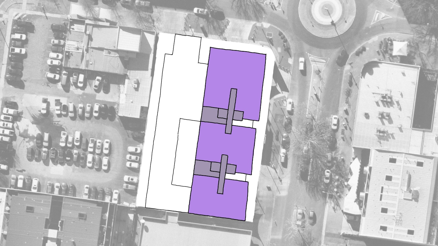 Braddon49