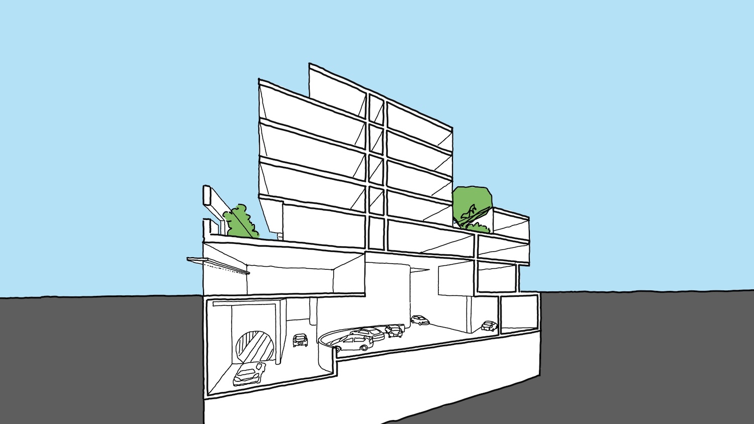 Braddon55