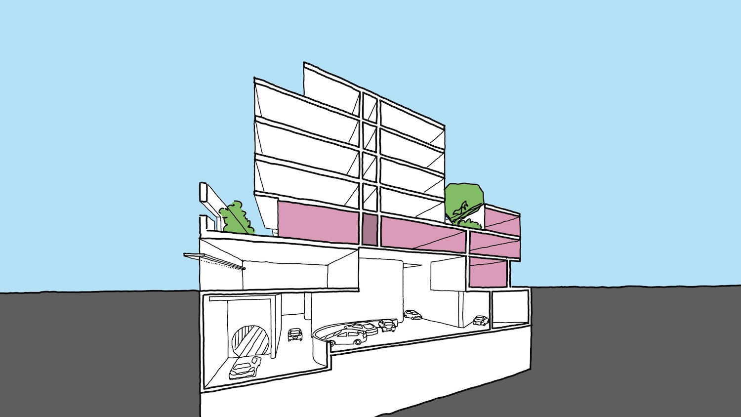Braddon58