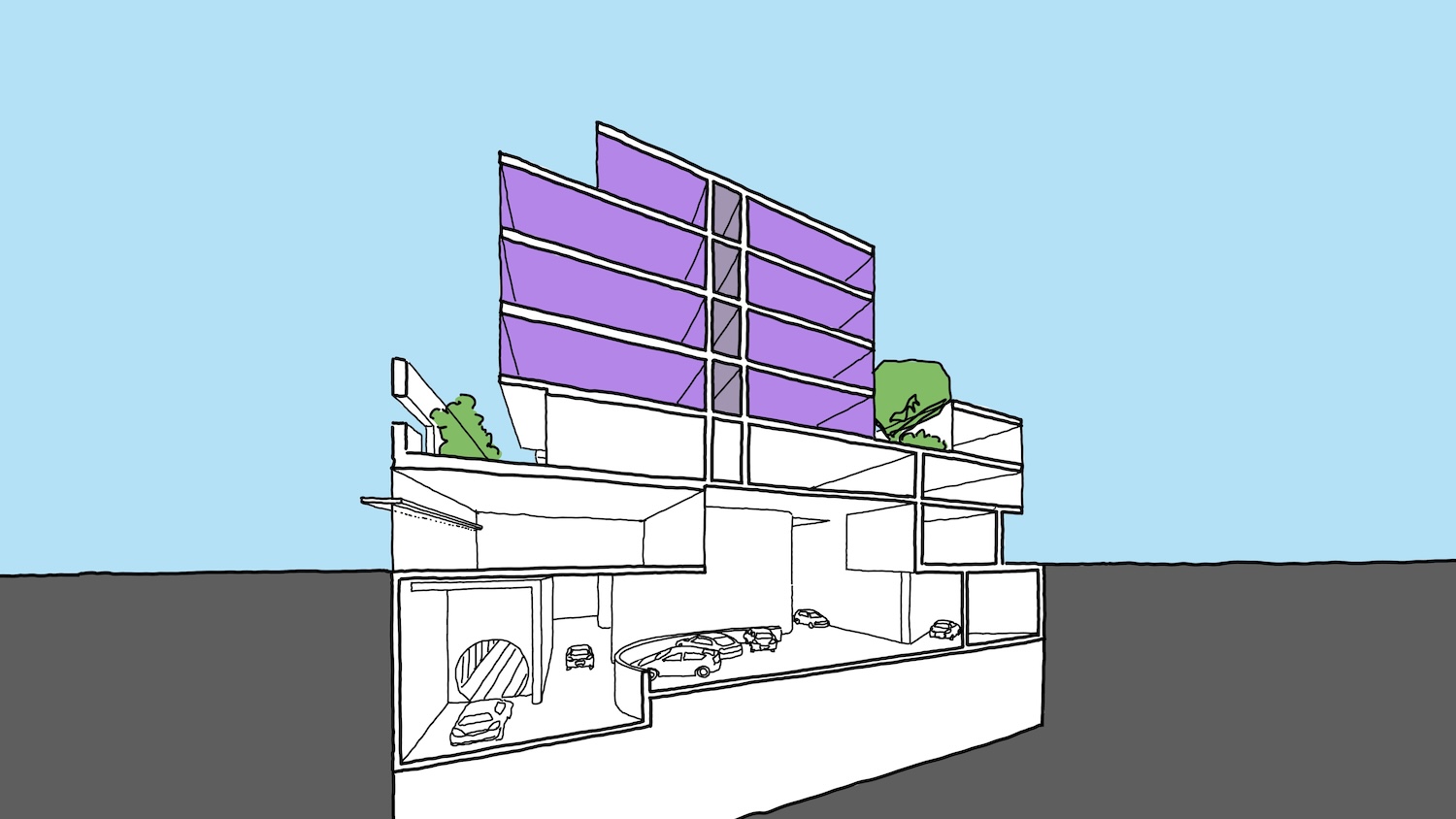 Braddon59