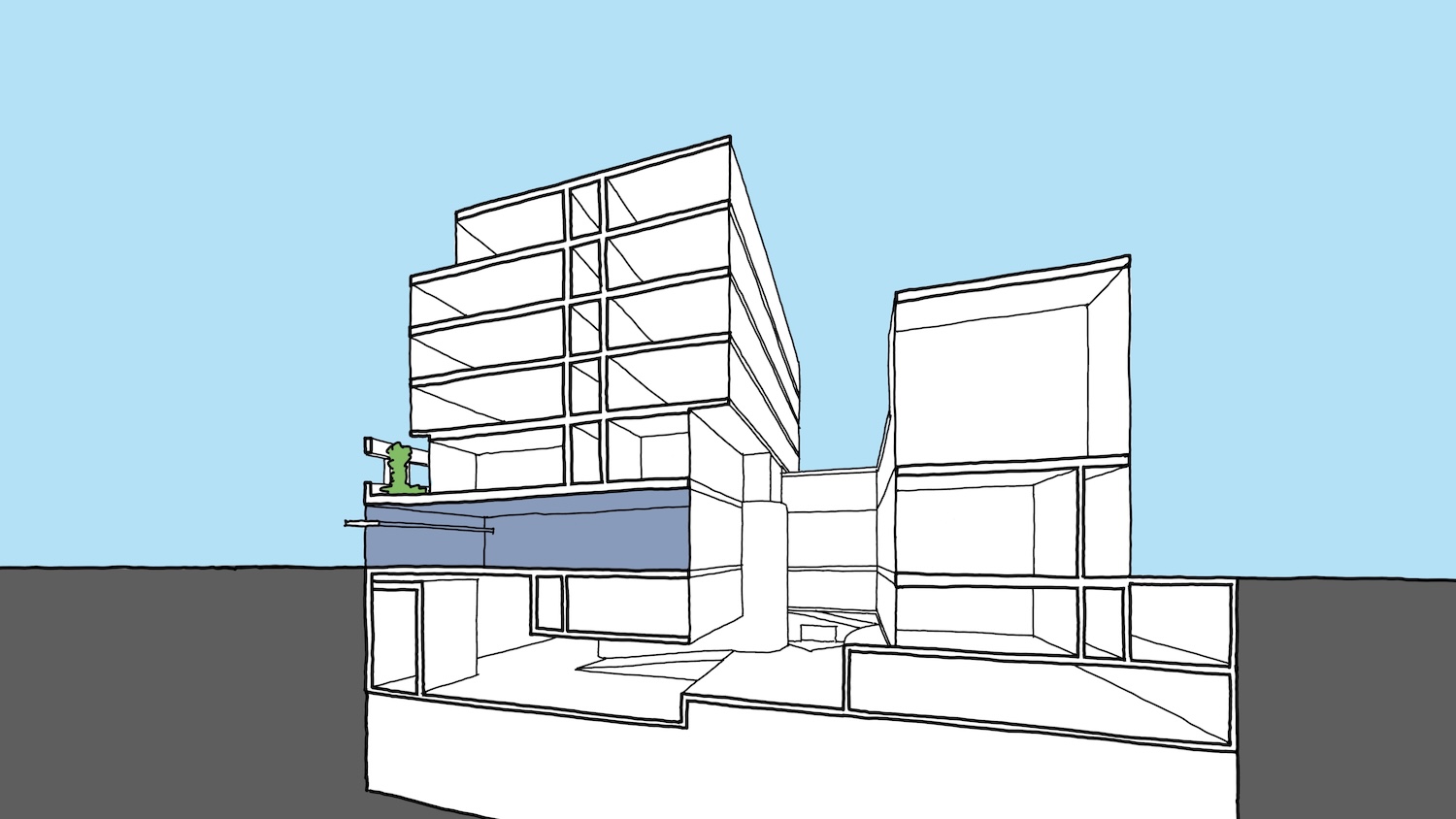 Braddon63