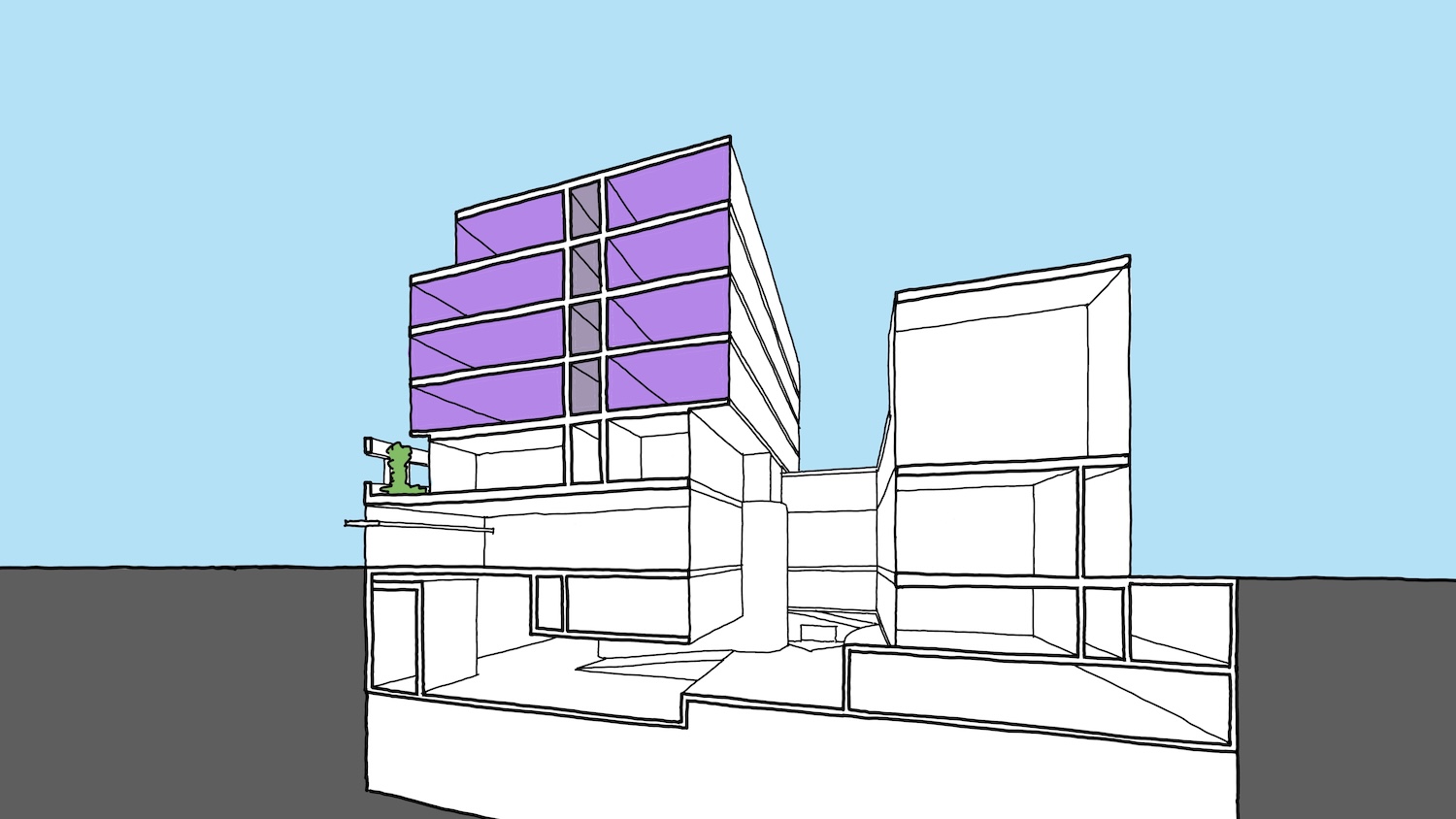 Braddon65